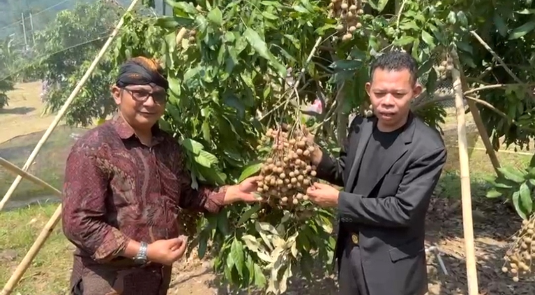 DPN BAKRI Dorong Ketahanan Pangan Nasional Lewat Penanaman Pohon Kelengkeng KRESS Nusantara