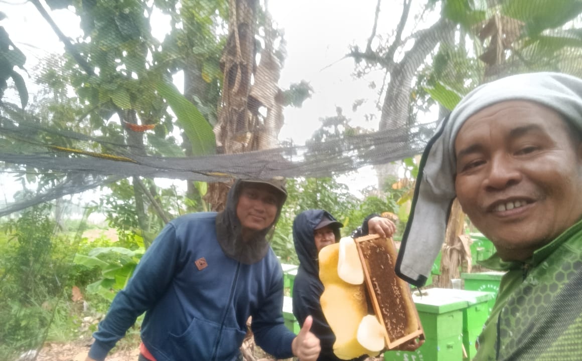 Mau Madu Asli Tanpa Campuran? Pilih Istana Madu 72, Terjamin Murni dan Berkualitas!