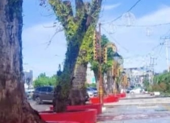 Belungguk: Peluang Baru Menjadikannya Titik Temu Kebaikan Dunia Akhirat